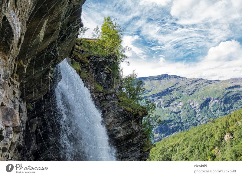 View at the Storseterfossen Relaxation Vacation & Travel Mountain Nature Landscape Water Clouds Tree Forest Waterfall Idyll Tourism Geirangerfjord Norway