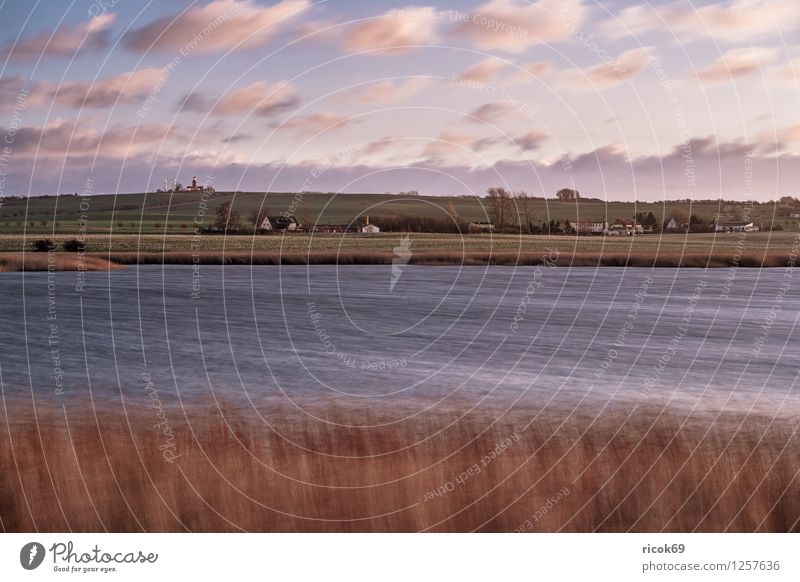 View over the Riedensee Relaxation Vacation & Travel Landscape Water Coast Lighthouse Romance Idyll Nature Common Reed Mecklenburg-Western Pomerania BUK