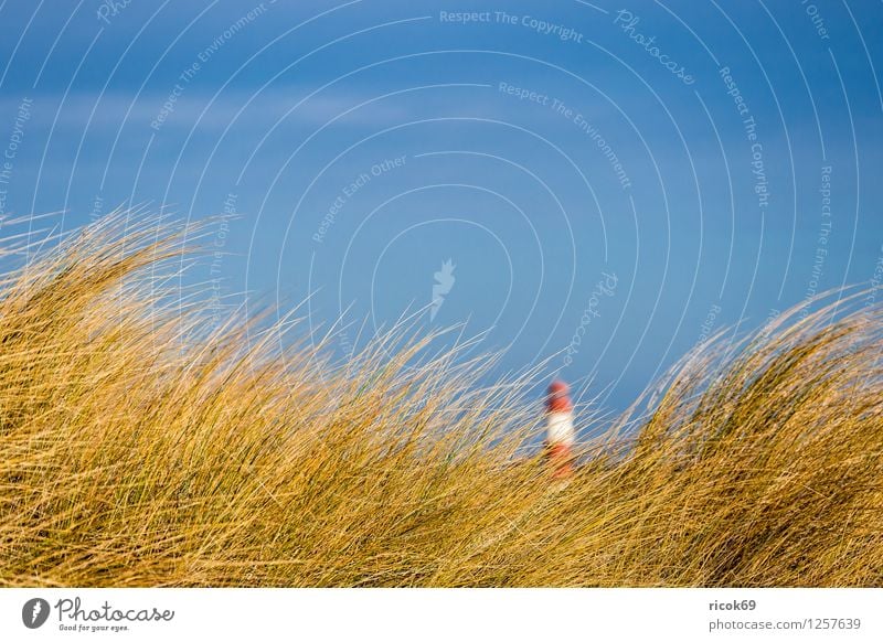 Dune in Warnemünde Relaxation Vacation & Travel Beach Ocean Nature Landscape Clouds Wind Gale Coast Baltic Sea Lighthouse Blue Yellow Red Tourism pier light