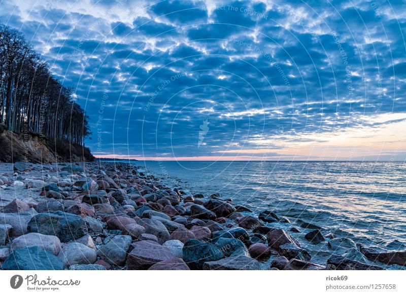 Stones at the Baltic Sea Relaxation Vacation & Travel Beach Ocean Landscape Water Rock Coast Blue Nature Tourism Mecklenburg-Western Pomerania Heiligendamm Sky