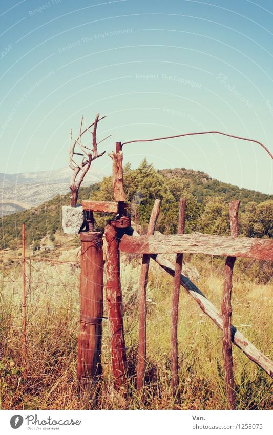 Up to here and no further Nature Landscape Cloudless sky Summer Grass Bushes Meadow Hill Mountain Sardinia Gate Fence Wood Beautiful Warmth Closed Colour photo