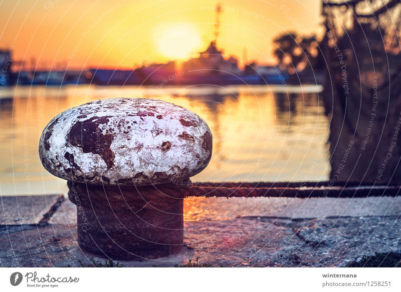 Big mushroom on sunset by the sea Sky Sun Sunrise Sunset Sunlight Summer Coast Bay Multicoloured Yellow Gold Orange Emotions Determination Warm-heartedness Love