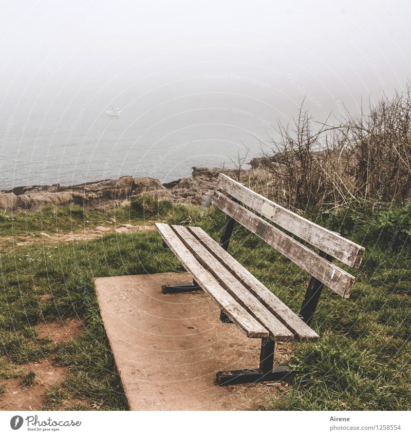 ship watching Landscape Bad weather Fog Coast Ocean Bench Wood Vacation & Travel Looking Sit Wait Large Brown Dreary Watercraft Subdued colour Exterior shot