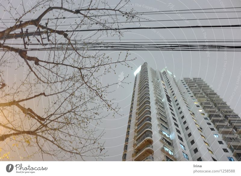 late nights of Shanghai Cable Tree High-rise Balcony Wait Living or residing Gloomy Town Gray Loneliness SME Night shot Subdued colour Exterior shot Twilight