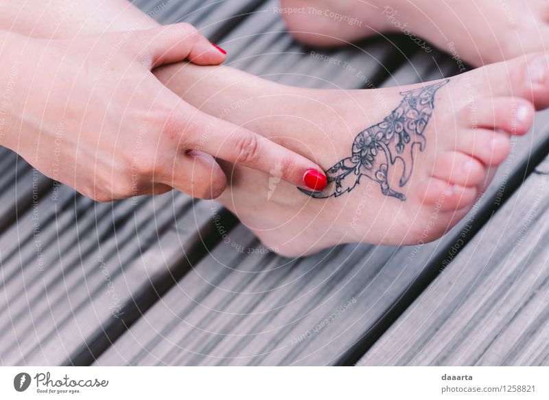 tattoo fox Lifestyle Elegant Style Joy Beautiful Nail polish Tattoo Tattooed Harmonious Leisure and hobbies Adventure Freedom Sightseeing Flirt Masculine Hand