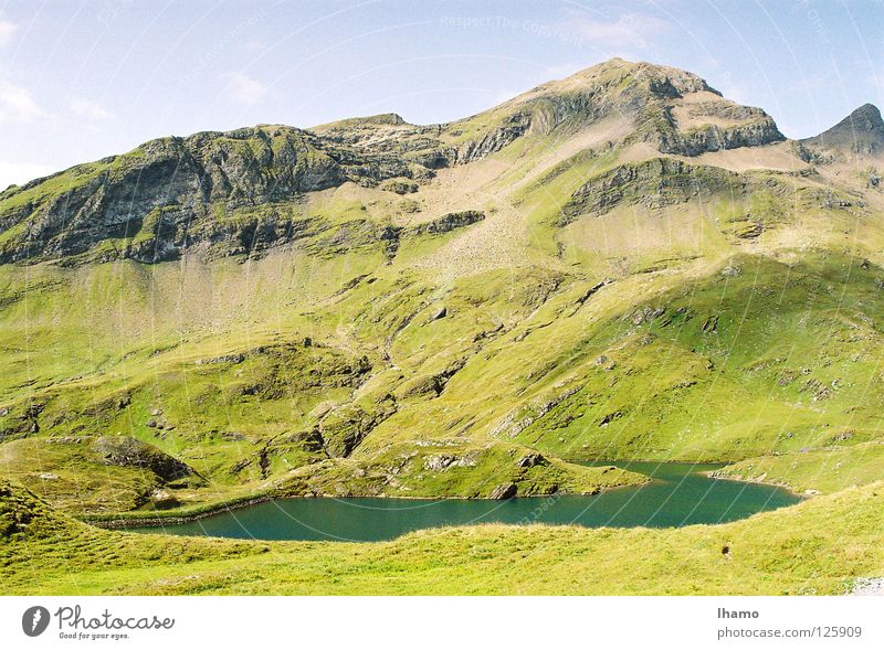 Irrigated green Meadow Summer Lake Green Bernese Oberland Hiking Grindelwald Break Sit down Vantage point Switzerland Alpine pasture alp cheese mountain hut