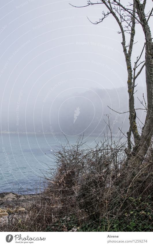 look back Landscape Fog Coast Beach Bay Ocean English Channel England Esthetic Blue Gray Turquoise Colour photo Exterior shot Copy Space left Copy Space middle