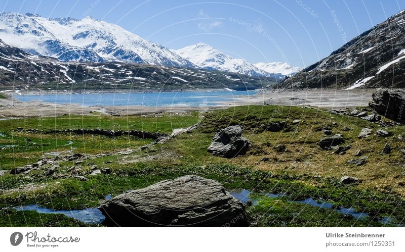 Lago di Montespluga Vacation & Travel Tourism Snow Mountain Hiking Environment Nature Landscape Plant Water Spring Beautiful weather Grass Alps Peak