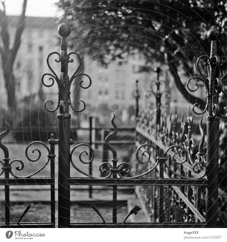 Melancholy graveyard Cemetery Fence Cast iron Tasty Ornament Grave Tomb Curved Round Medium format Grief Blur Calm Prayer Cold Iron Steel Art Arts and crafts