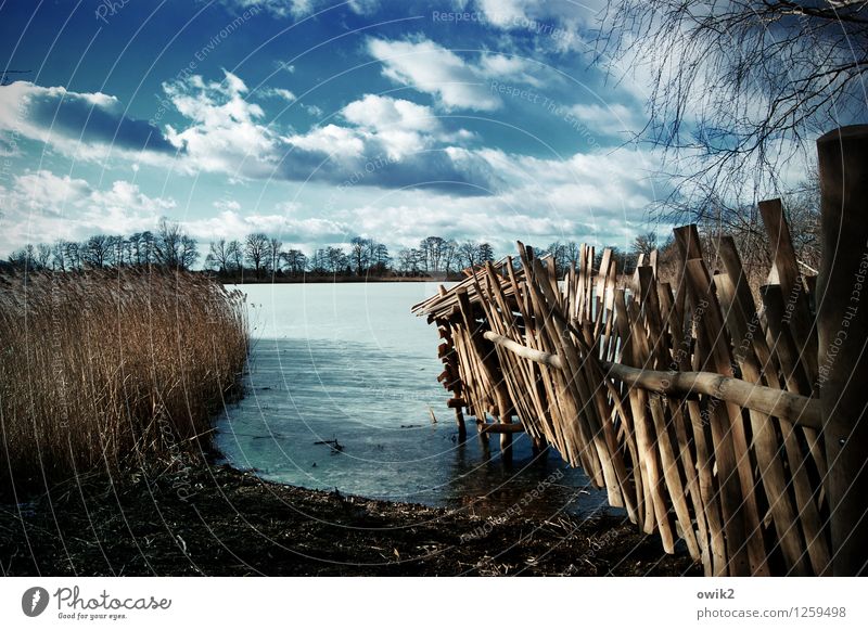 lake view Environment Nature Landscape Plant Sky Clouds Horizon Winter Climate Weather Beautiful weather Tree Wood Bright Cold Idyll Far-off places nature trail