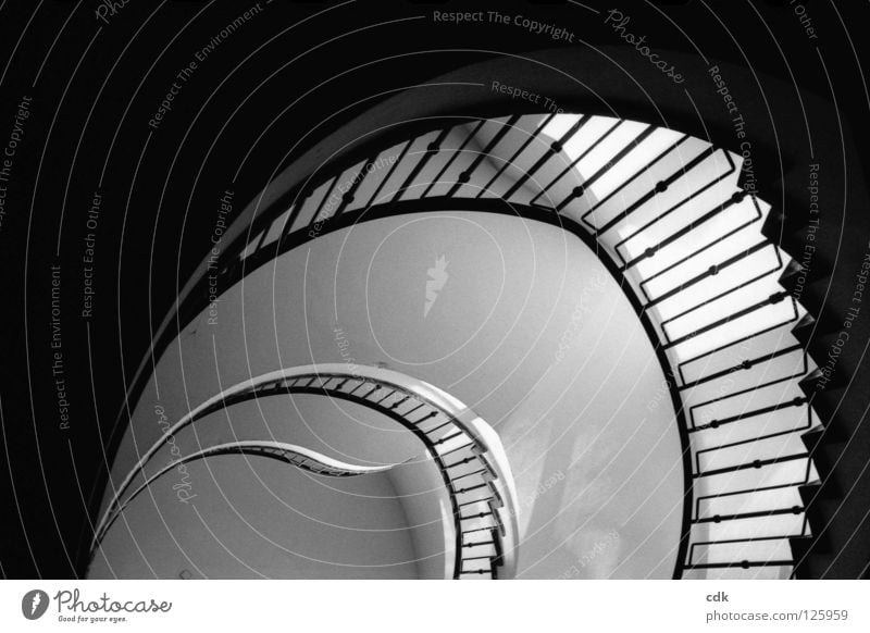 Staircase | Interior views II Staircase (Hallway) Banister Story Wall (building) Building Construction Light Pure Simple Round Curved Pattern Swing Filming