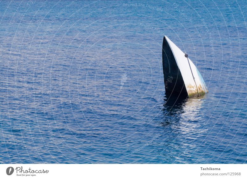 sydney opera house, sunk Watercraft Ocean Go under Dream Lake White Algae Navigation Blue