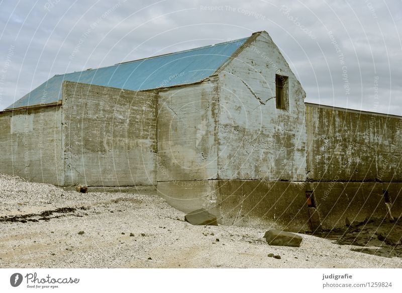 Iceland acranes Port City House (Residential Structure) Hut Harbour Building Wall (barrier) Wall (building) Facade Calm Stagnating Concrete Roof Beach Coast