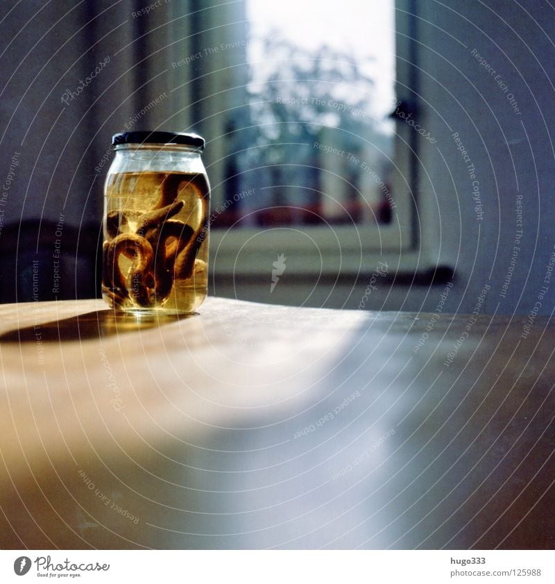 Anna's snake Table Wood Preserving jar Reptiles Window Medium format Light Long Thin Yellow Georgia Snake Glass Death Poison Sun formaldehyde Shadow reflection