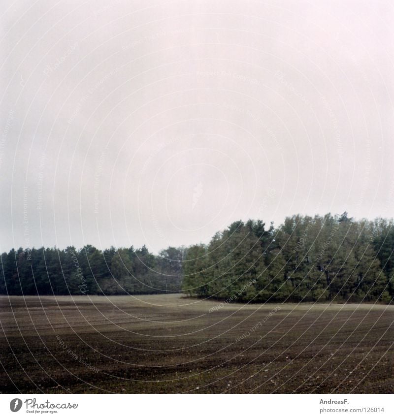 november Forest Edge of the forest Field Rural Medium format Agriculture Plow Autumn Gray Rain October November Americas Province Sand Earth Nature