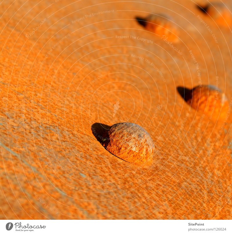 rust Burl Red Brown Derelict Round Obscure Detail Macro (Extreme close-up) Close-up Rust Orange Old Sphere