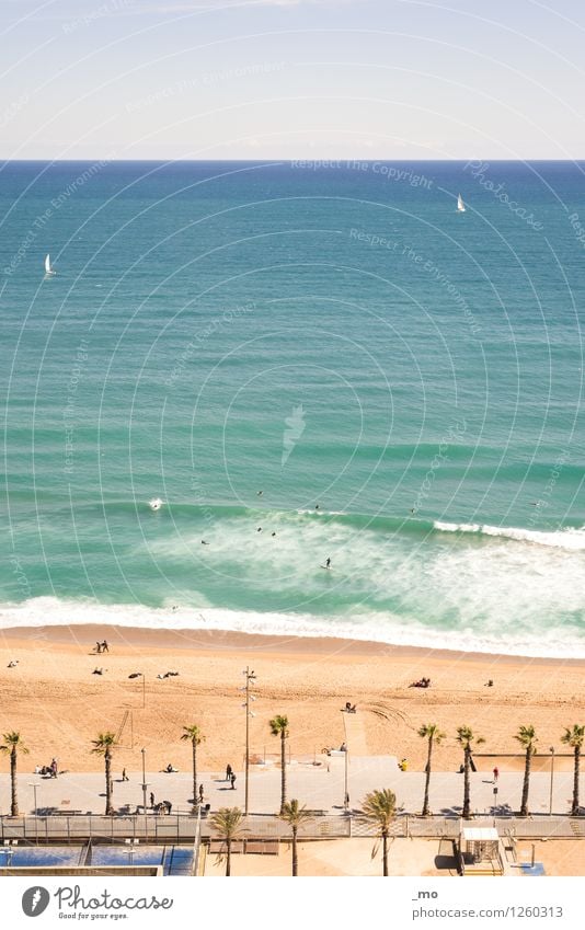 beach day Swimming & Bathing Surfing Float in the water Summer Summer vacation Sun Sunbathing Beach Ocean Waves Sea water Sports Aquatics Sailing Human being