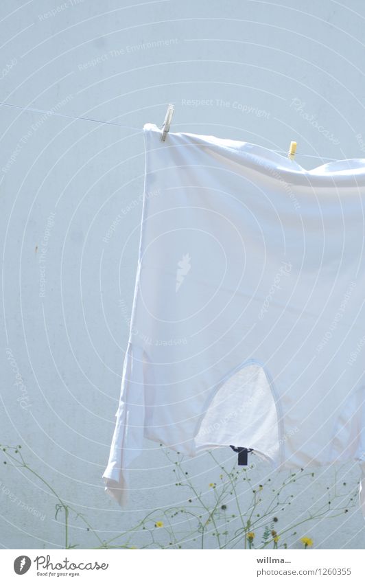 White-linen-white-wall. Dry area. T-shirt Bright Laundry Washing clothesline Clothes peg Clean Exterior shot Copy Space top