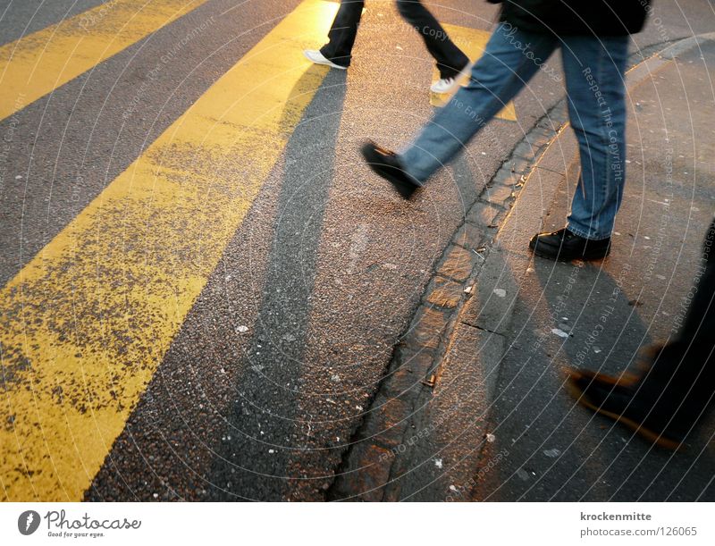 If you're really right... Pedestrian crossing Zebra crossing Yellow Asphalt Transport Town Going Traverse Concreted Tar Stripe Narrow Footwear Sunrise 3