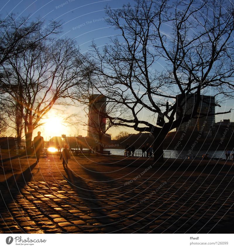 one and a half Back-light Sunset Twilight Dusk Moody Evening sun Father Silhouette Tree Pave To go for a walk Going Action Winter Traffic infrastructure River