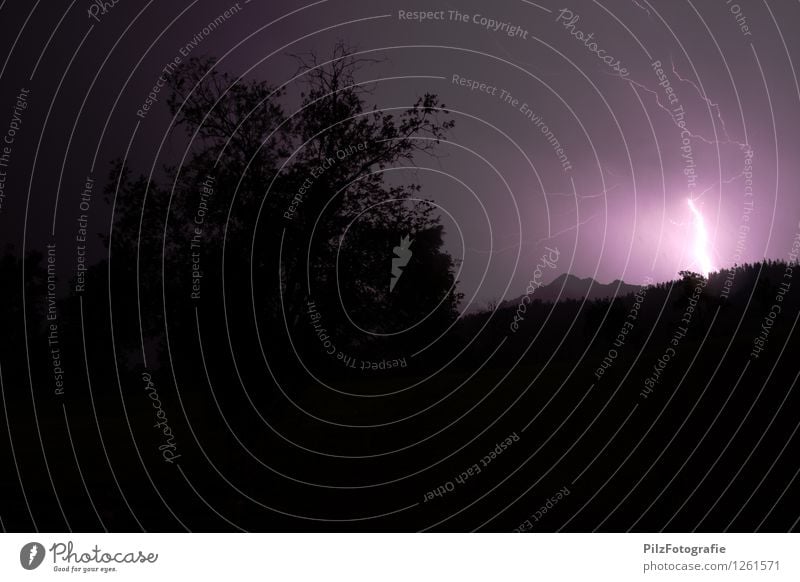 First comes the lightning Thunder and lightning Lightning Tree Forest Mountain Peak Violet Black Apocalyptic sentiment Threat Colour photo Exterior shot