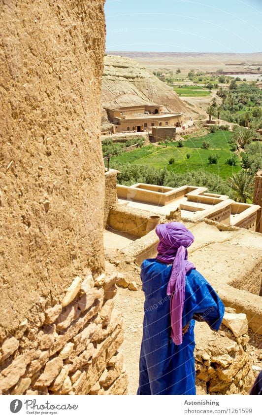 Berber in Aït-Ben-Haddou Human being Masculine Body 1 Environment Nature Landscape Plant Summer Palm tree Meadow Hill Desert Oasis Ait Benhaddou Morocco Africa