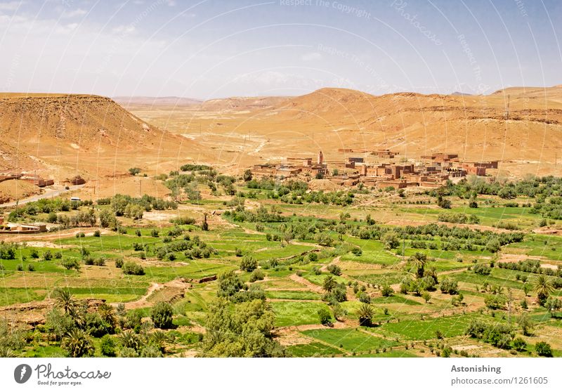 Green Desert Environment Nature Landscape Sky Clouds Horizon Summer Weather Beautiful weather Drought Plant Tree Meadow Hill Canyon Oasis Ait Benhaddou Morocco