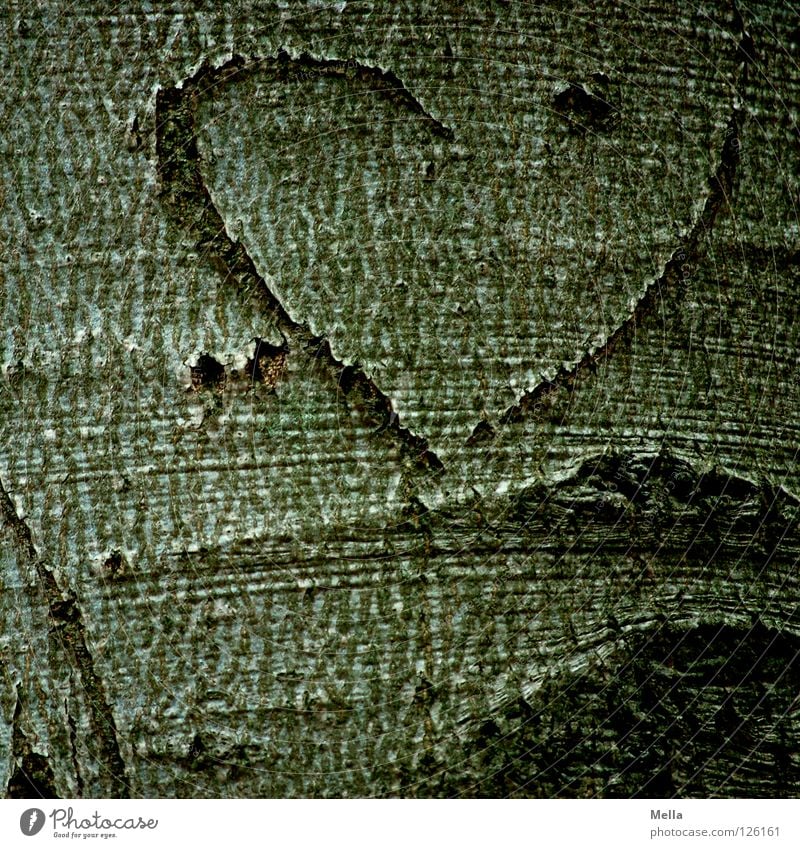 unfinished Tree Tree bark Furrow Eternalized Symbols and metaphors Relationship Couple Matrimony Friendship Incomplete Half Love Graffiti Mural painting Heart