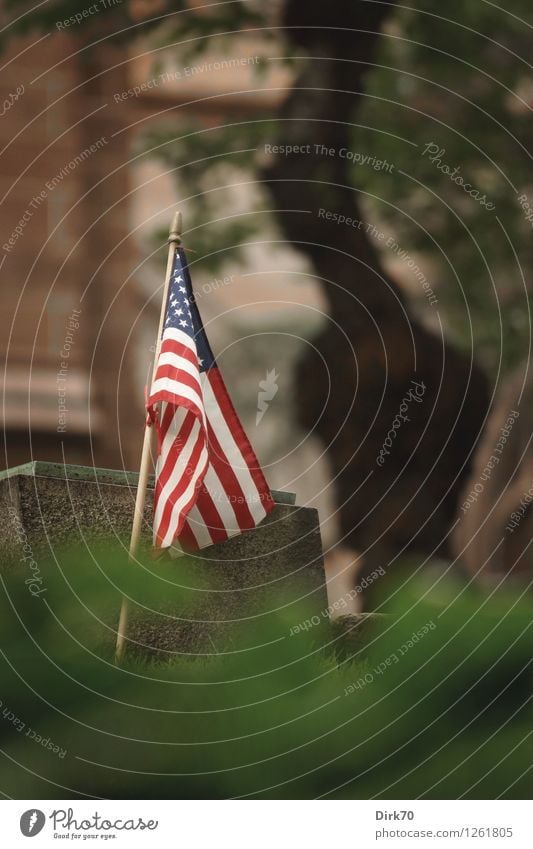 for whom the bell tolls Tree Grass Deciduous tree Garden Park New York City Manhattan USA Church Cemetery Grave Tombstone Ledger Trinity Church Sign Flag