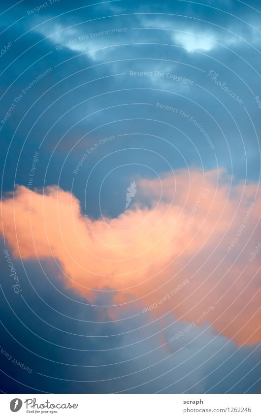 Cumulus Clouds Sky Background picture Storm Air Structures and shapes Consistency Cloud cover Cloud pattern Clouds in the sky Weather convection smooth Blur