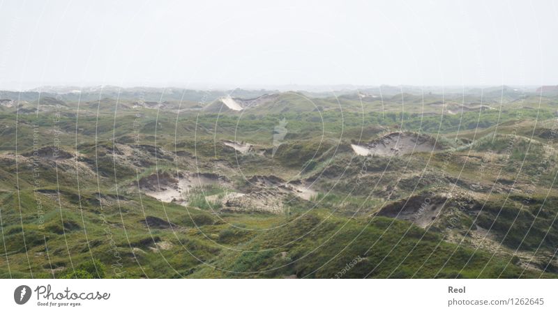 dunes Nature Landscape Elements Sand Sky Summer Hill Coast North Sea Island Norderney East frisian island Marram grass Dune Wild Green Calm Wanderlust Haze