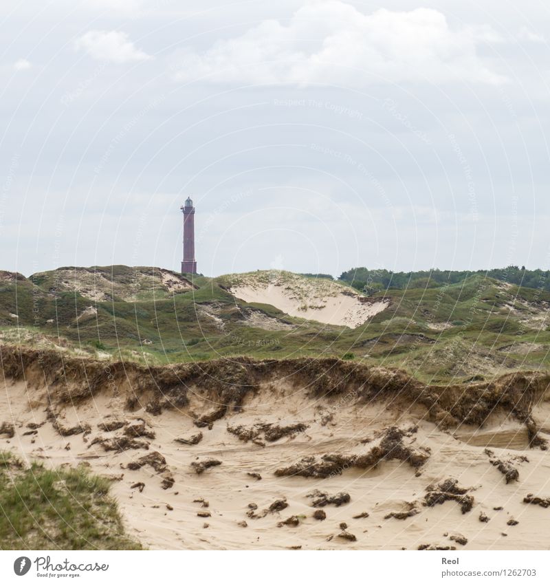 lighthouse Nature Landscape Elements Sand Sky Clouds Summer Bad weather Grass Marram grass North Sea Island Norderney East frisian island Dune Lighthouse Green