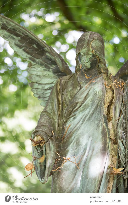 broken angel 1/2 Androgynous Hair and hairstyles Face Think Harmonious Funeral service Feminine Hand Angel Statue Copper Cemetery Ohlsdorf Cemetery Colour photo