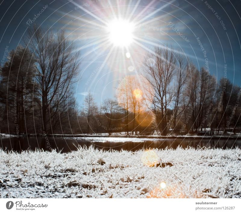 sun Infrared White Infrared color Passenger train Black Red Clouds Grass Wayside Meadow Wood flour Wood effect Gorgeous Exceptional Dream Fence Tree Forest