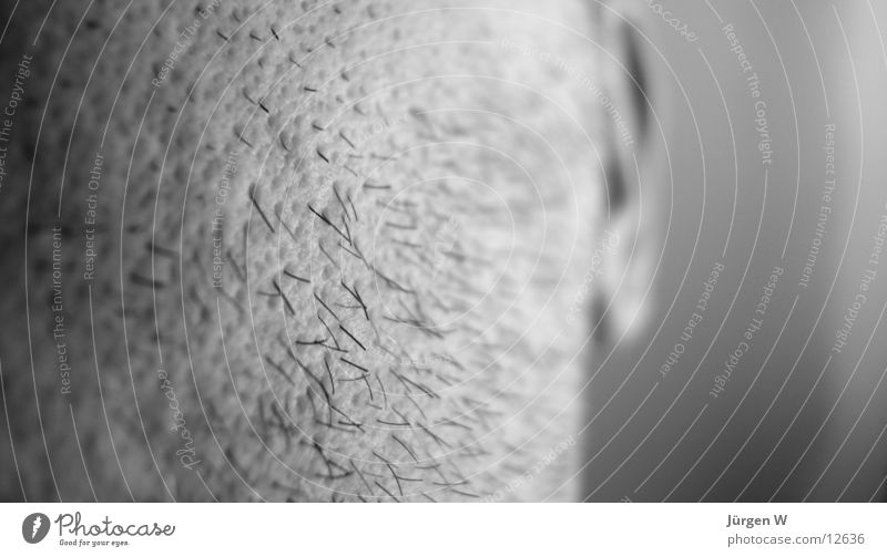 unshaven Man Facial hair Black White Shave Close-up Macro (Extreme close-up) Detail Stopper beard