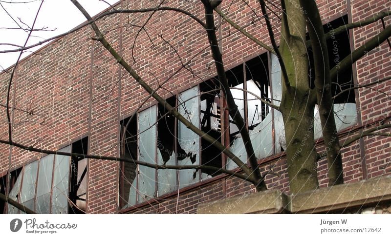 pretty knackered Building Derelict Wall (barrier) Window Industrial Photography Architecture Warehouse Glass builing broken