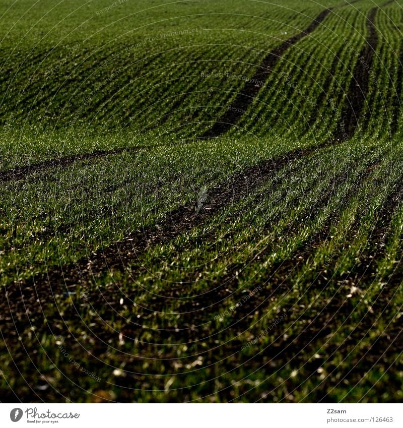 Agricultural art. Agriculture Field Meadow 2 Waves Graphic Black Dark Square Skid marks Parallel arrogant Tracks Lanes & trails Arch Line Reduce Simple Contrast