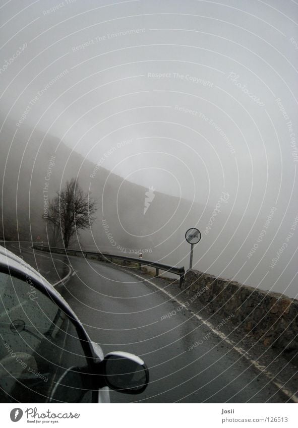 Overtaking allowed! Clouds Fog Driving Ambiguous Eerie Dangerous Overtake Tree Mountain Car Rain