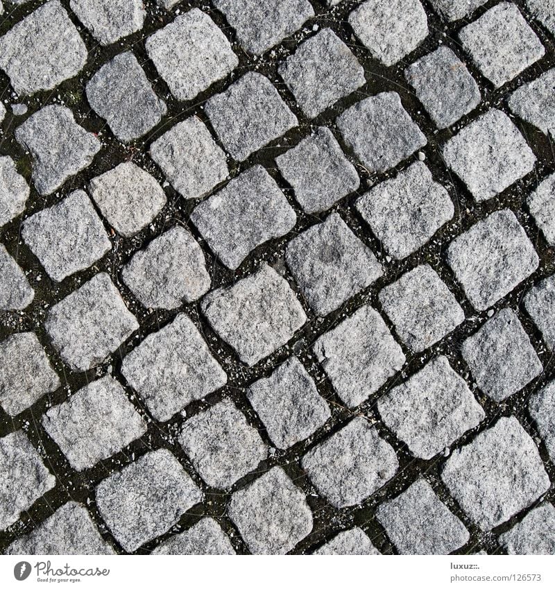 Stone by stone Cobblestones Parking lot Diagonal Structures and shapes Square Gray Granite Hard Natural stone Pedestrian precinct No smoking Mosaic Sheepish