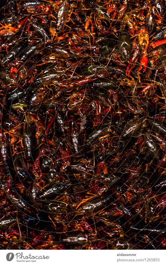 crabs Animal Flock Claustrophobia Stress Gluttony Crab cutter Shrimp Many Intensive stock rearing Food Seafood China Colour photo Exterior shot Day