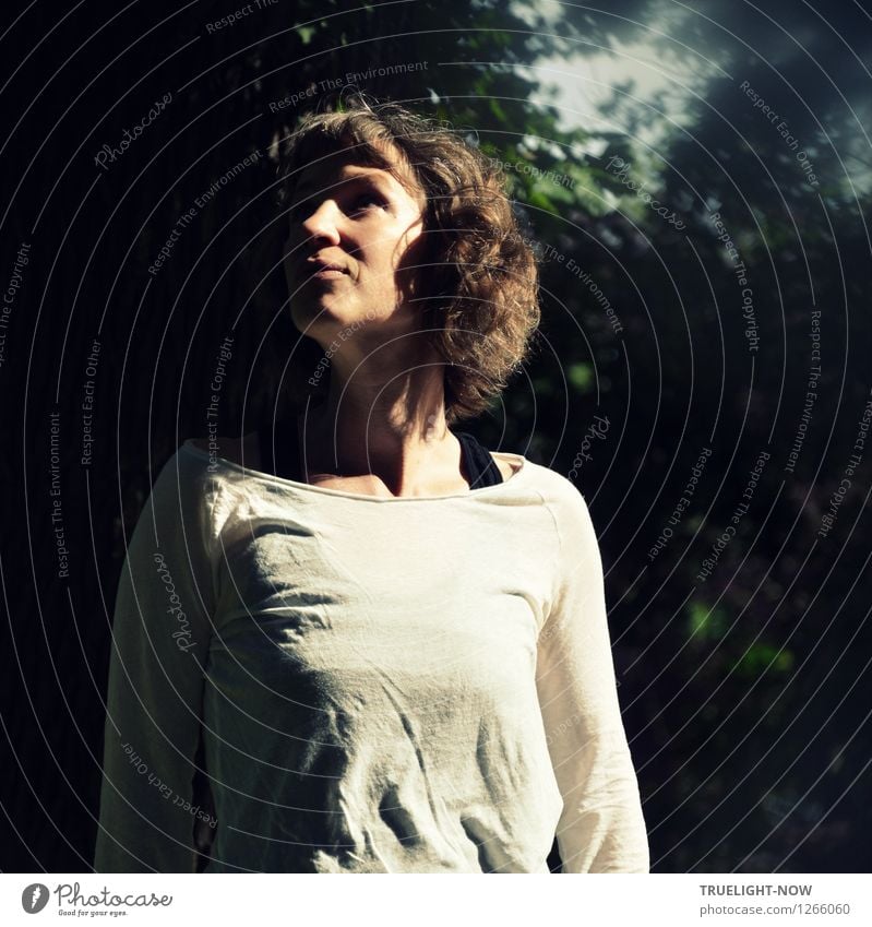 Young woman in forest illuminated by sunlight in half profile watches birds and listens to their singing Wellness Life Harmonious Well-being Calm Forest walk