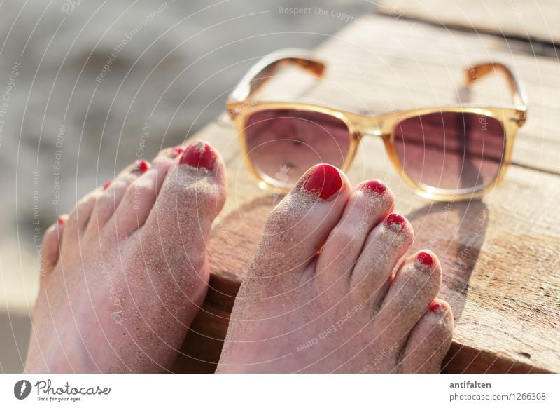 beach sock Lifestyle Vacation & Travel Tourism Far-off places Freedom Summer Summer vacation Sun Sunbathing Beach Ocean Table Bar Cocktail bar Beach bar