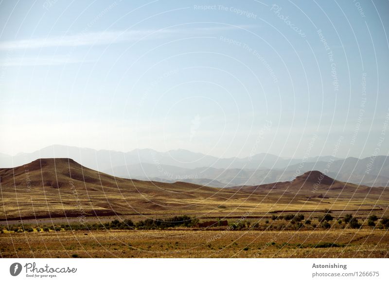 bare hill country Environment Nature Landscape Sand Sky Horizon Summer Weather Beautiful weather Plant Bushes Hill Mountain Atlas Peak Desert Morocco Tall Blue