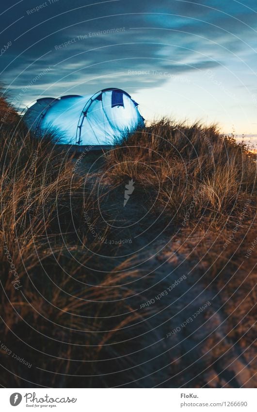 Camping in the dunes of Sylt Vacation & Travel Tourism Trip Adventure Freedom Summer Summer vacation Environment Nature Landscape Earth Sand Sky Clouds Sunrise