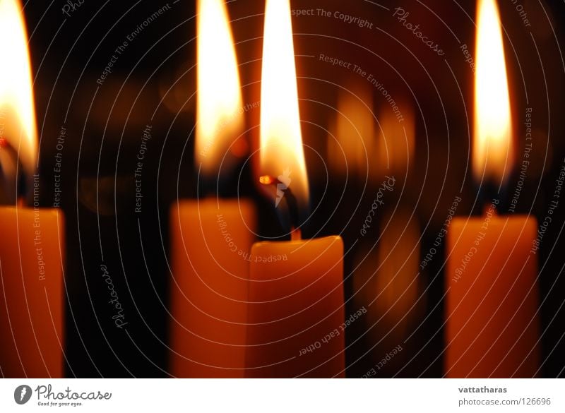 The Magical Light of Candels Macro (Extreme close-up) Close-up Christmas Eve Soft background music red wine dimmed Light at home Takes you to a wonderful