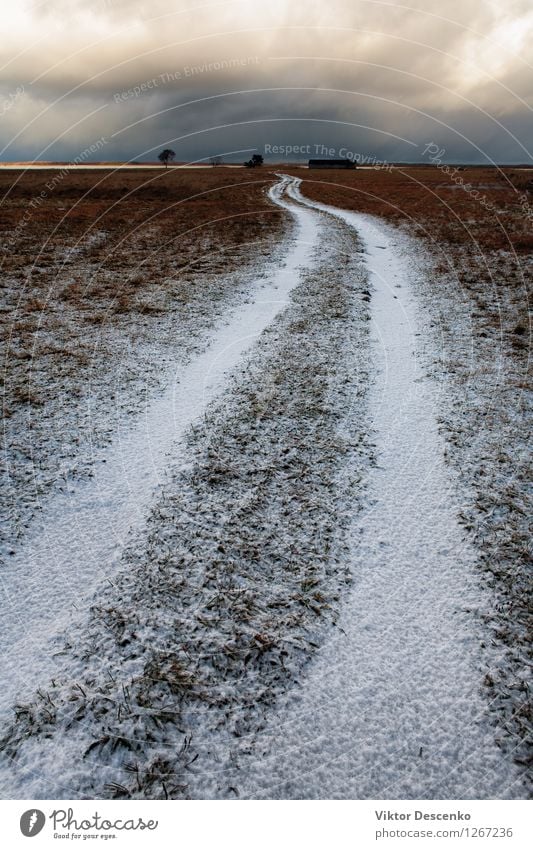 White road under the snow in a field Vacation & Travel Winter Snow Nature Landscape Sky Clouds Horizon Tree Street Lanes & trails Under Blue Gray country Rural