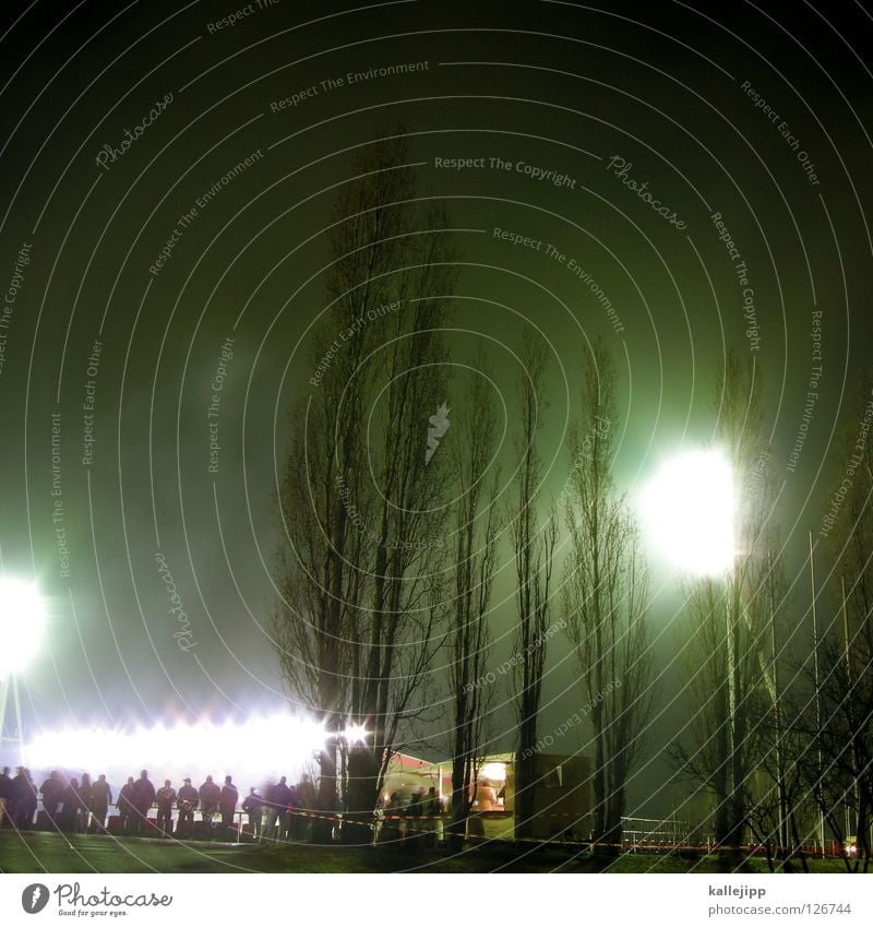 overexposed sports field Stadium Event Floodlight Light Night Tree Poplar Audience World Cup Switzerland Austria Playing Fan Hooligan Entrance Places Lamp