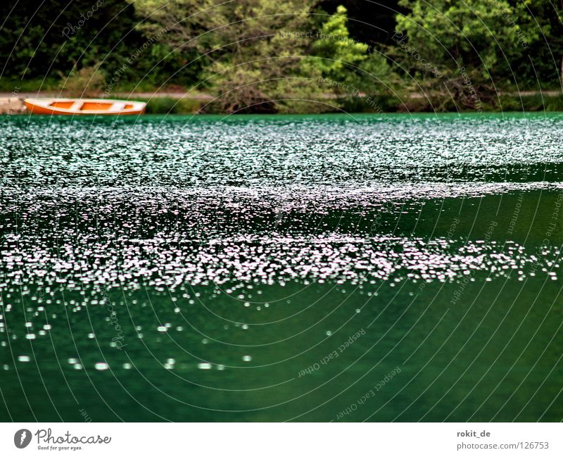 Lake Allgäu Green Watercraft Rowboat Deep Waves Water lily Cold Flat Broken Mountain lake Meadow Paddle Navigation Orange clear water see the ground