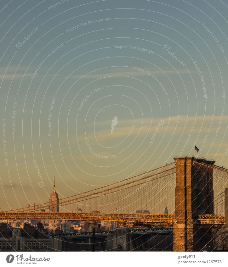 New York 5 New York City Town Skyline High-rise Bridge Tourist Attraction Brooklyn Bridge Empire State building Stone Natural Yellow Gold Colour photo