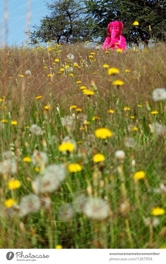 forgotten Art Work of art Esthetic Elephant Pink Nature Environmental protection Nature reserve Natural scientist Love of nature Green Meadow Meadow flower